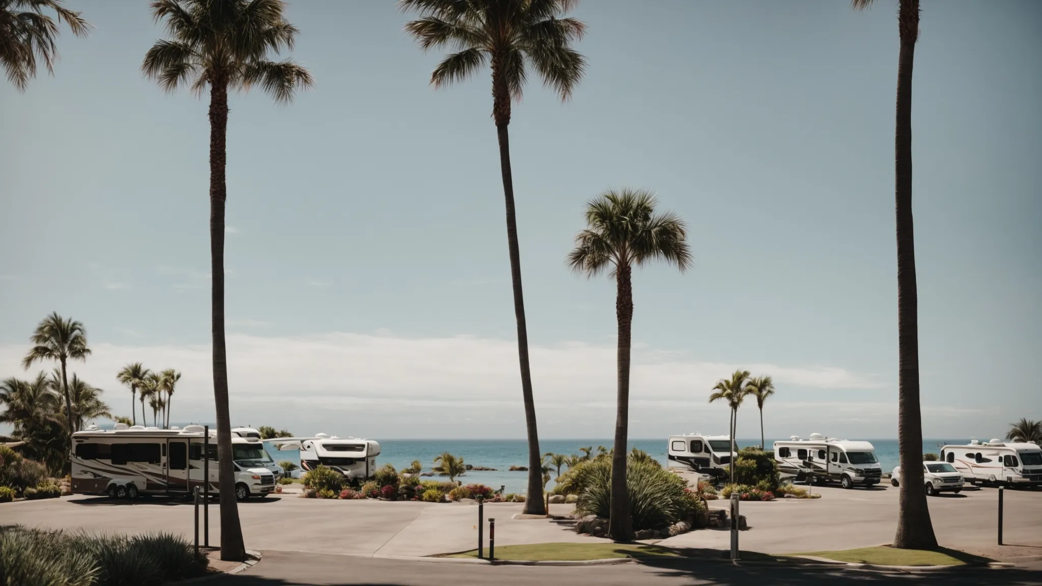 a scenic rv park overlooking the pacific ocean with spaces for numerous rvs amidst palm trees and sunshine.