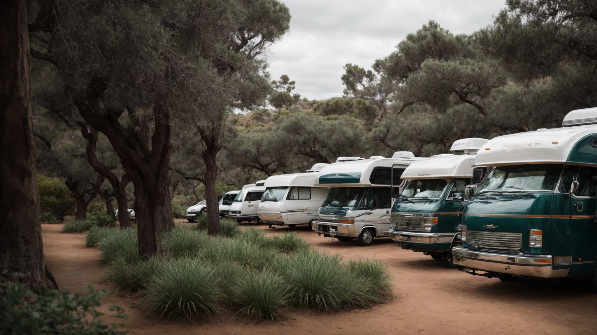 an array of sleek rvs nestled peacefully among the lush greenery of a san diego park, ready for adventure.