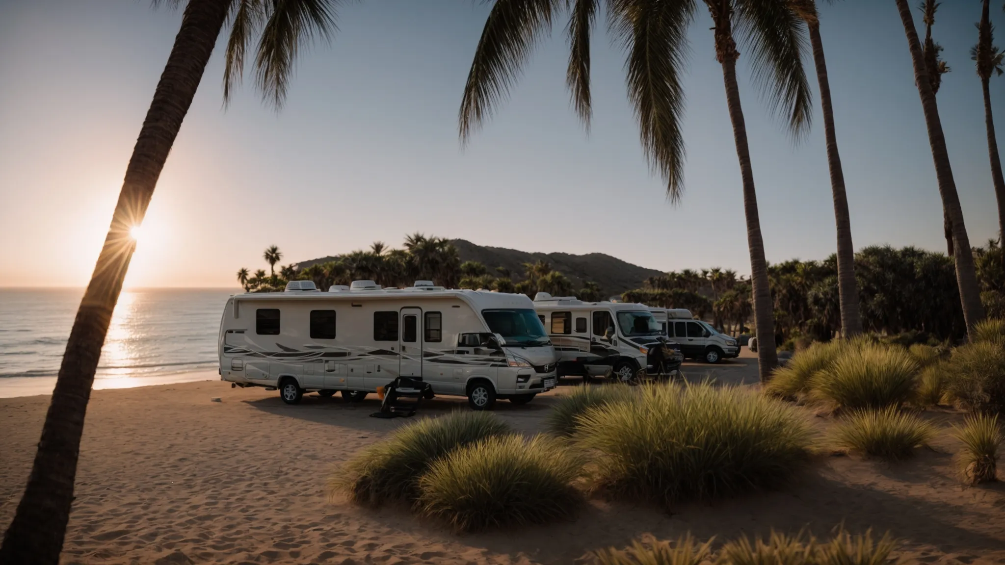 a serene view of rvs parked amidst palm trees with the sun setting over the calm pacific coastline.